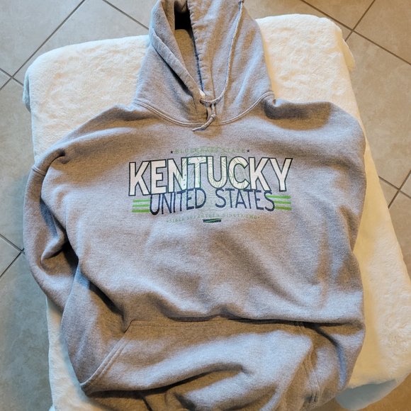 GILDAN KENTUCKY BLUEGRASS STATE GRAY HOODIE IN XXL - Picture 3 of 6
